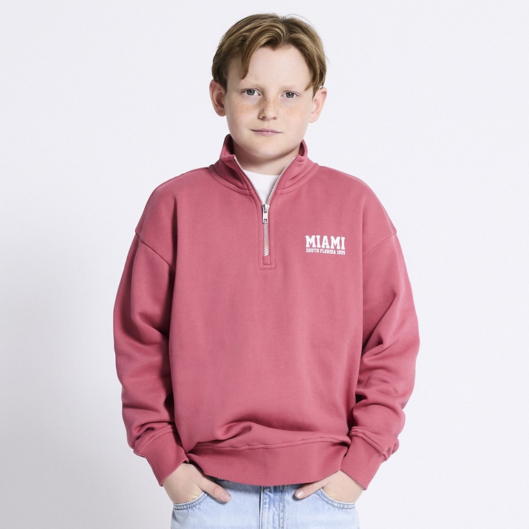 Half-zip sweatshirt "Clarkson" Soft red